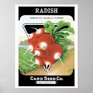 Póster Vintage Seed Packet Label Art, Rabanetes De Escarl