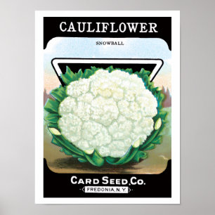 Póster Vintage Seed Packet Label Art, Veggggies De Couve-