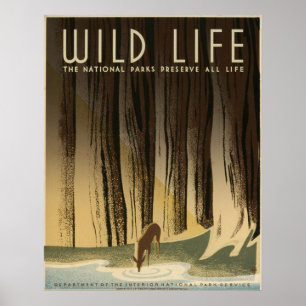 Poster Vintage selvagem da vida National Park Service