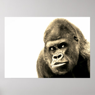 Poster Vintage Sepia Gorilla