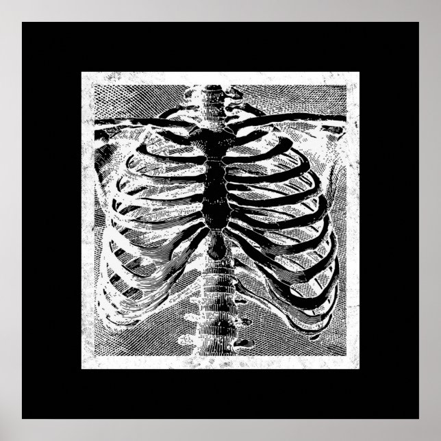 Poster Vintage Skeleton Bones Torso Body Halloween (Frente)