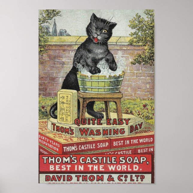 Poster Vintage Soap Advertisement (Frente)