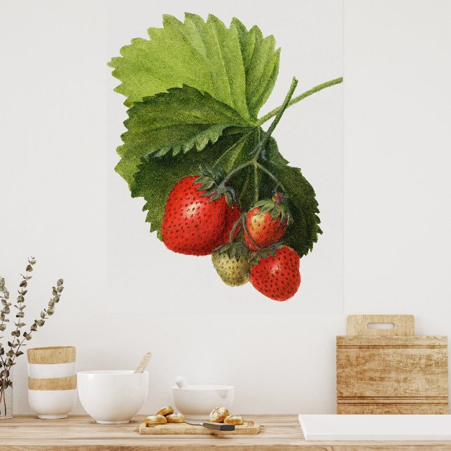 Poster Vintage Strawberry (Cozinha)
