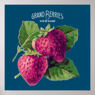 Poster Vintage Strawberry Berry Adiciona Seu Nome Azul Ve
