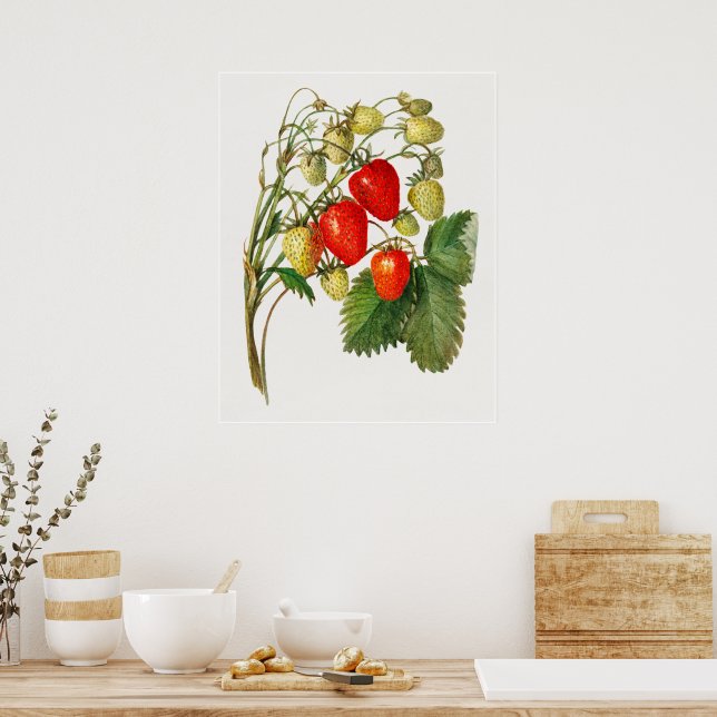 Poster Vintage Strawberry Branch (Cozinha)