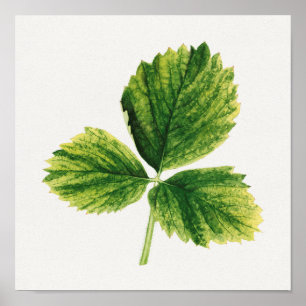 Poster Vintage Strawberry deixa aquarela