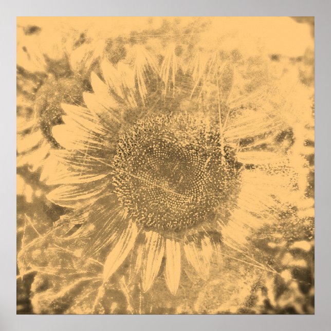 Póster Vintage Sunflower painting trabalho de arte nº 2 - (Frente)