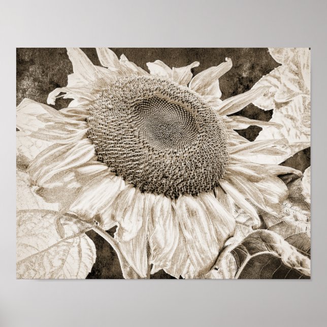 Poster Vintage Sunflower Sepia Brown Art Decoupage (Frente)