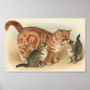 Poster Vintage Tabby Cat Com Kittens