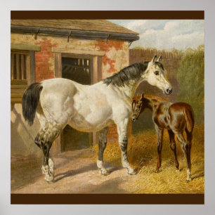 Poster Vintage Thoroughgenee Mare e Foal