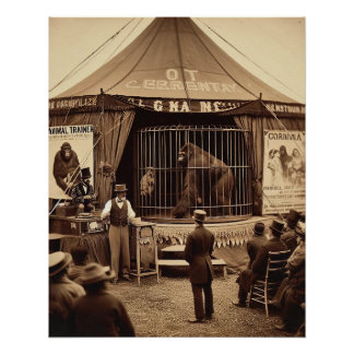 Póster Vintage Tintype foto de um gorila de circo (1920)