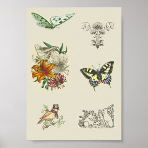 Poster Vintage Variety Imintable Scrapbooking Imprimindo