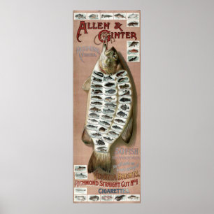 Poster Vintage Victorian Era 50 Fish
