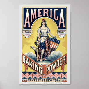 Poster Vintage Victorian Era America Baking Powking Ad