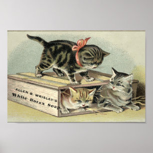 Poster Vintage Victorian Era Kittens Soap Ad