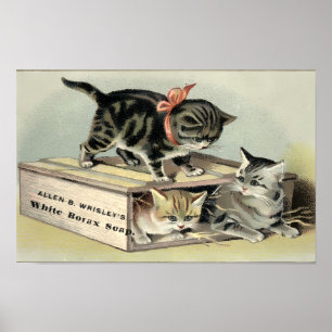 Poster Vintage Victorian Era Kittens Soap Ad