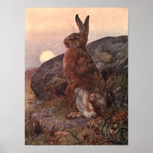 Poster Vintage Wild Animal, Aluga por Winifred Austen