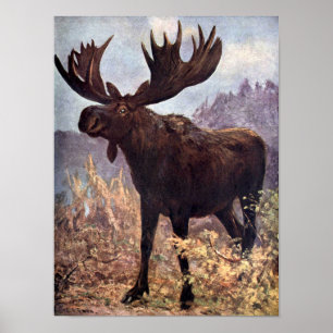 Póster Vintage Wild Animal, Moose ou Elk por Swan CE