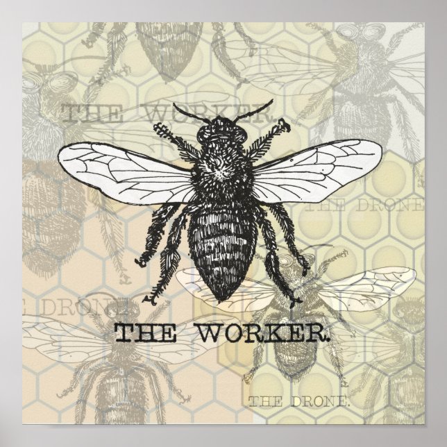 Póster Vintage Worker Bee Illustration (Frente)