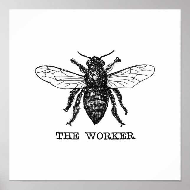 Poster Vintage Worker Bee Illustration (Frente)
