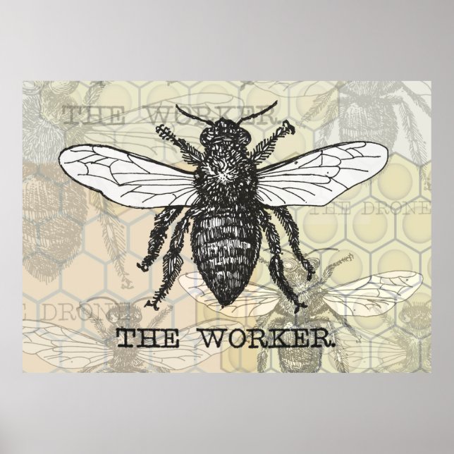 Poster Vintage Worker Bee Illustration (Frente)