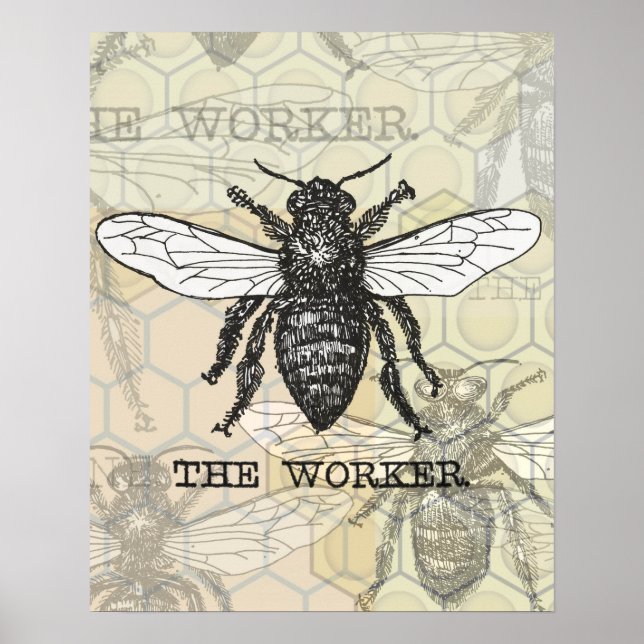 Póster Vintage Worker Bee Illustration (Frente)