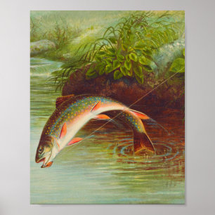 Poster Vintagem de peixes de Brook com salto ilustrada