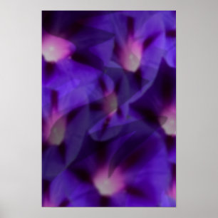 Poster Viola Skys