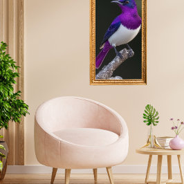 Poster Violet-backed Starling