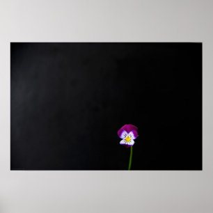 Poster Violet Flower wapm