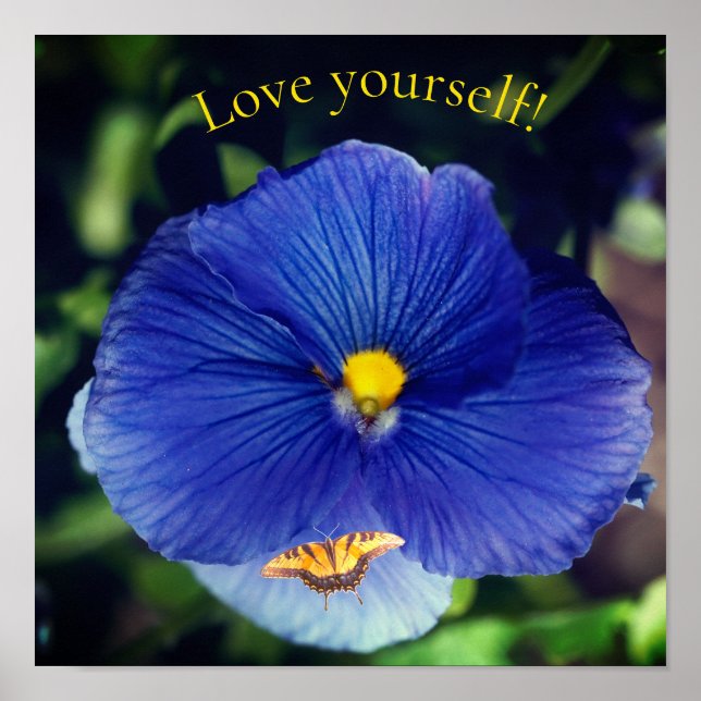 Poster violeta azul amor-perfeito (Frente)