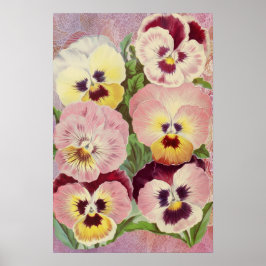 Poster Violeta e Amarela Pensées e Ephemera de Renda