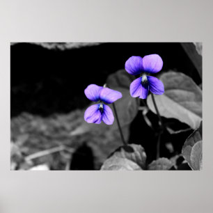 Póster Violeta fatal
