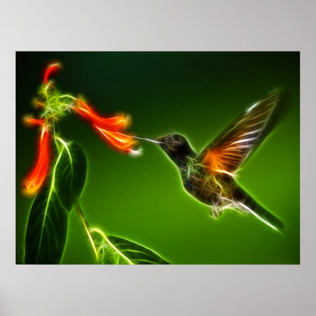 Póster Violetear Hummingbird Verde (Frente)