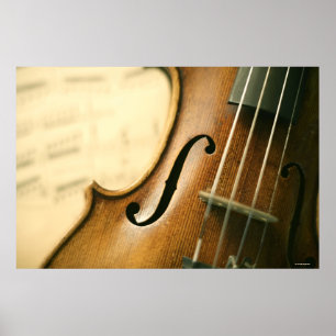 Póster Violino detalhado