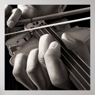 Poster Violino do assombro