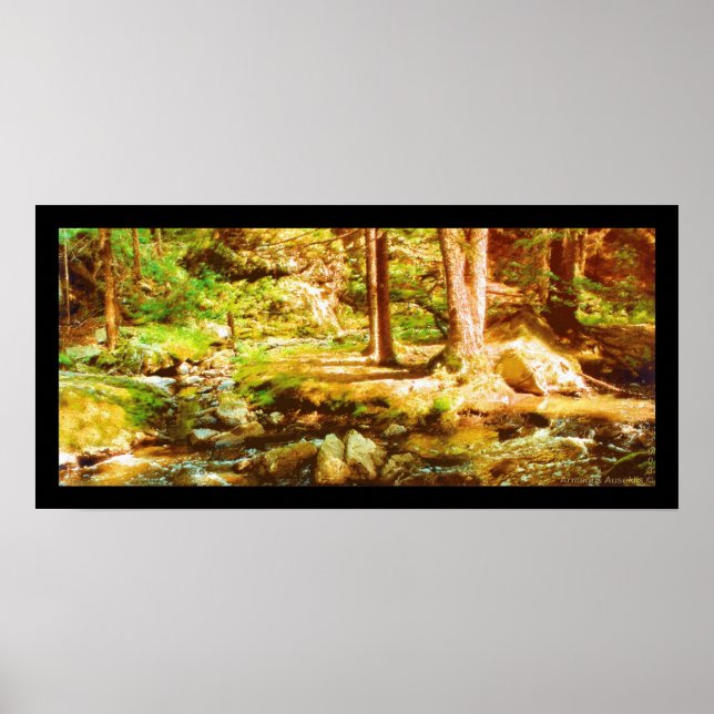 Póster Virgin Whirl (Frente)