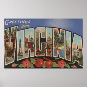 Póster Virgínia (maçãs/flores) - grandes cenas da letr