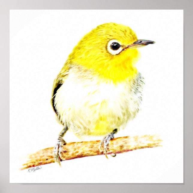 Poster Viro Amarelo (Frente)