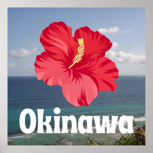 Poster Visão Censal de Okinawa e Hibiscus