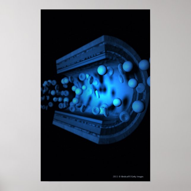 Poster Visão cortada das células sanguíneas em uma artéri (Frente)