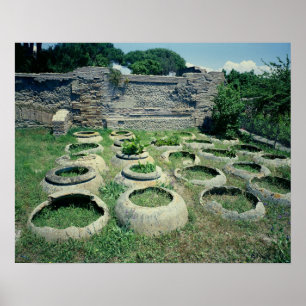 Póster Visão das compradas