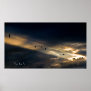 Póster Visão de sete pássaros, Bob Orsillo