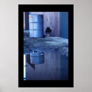 Póster Visão dupla