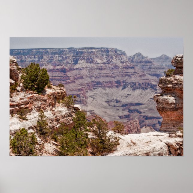 Poster Visão Geral do Pato (Frente)