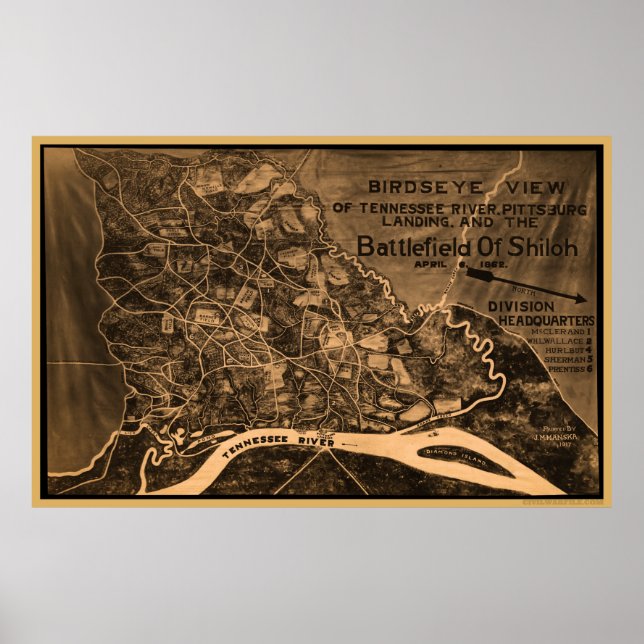 Póster Visão Geral do Shiloh Bird (Frente)