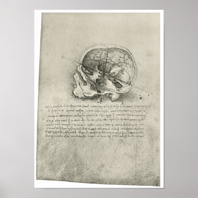Póster Visão interior do crânio, Leonardo da Vinci (Frente)