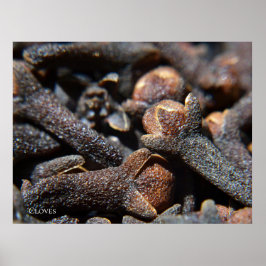 Poster Visão Macro Detalhada de Erva de Cravo