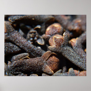 Poster Visão Macro Detalhada de Erva de Cravo