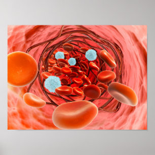 Poster Visão Microscópica De Dentro De Fluxo De Sangue E
